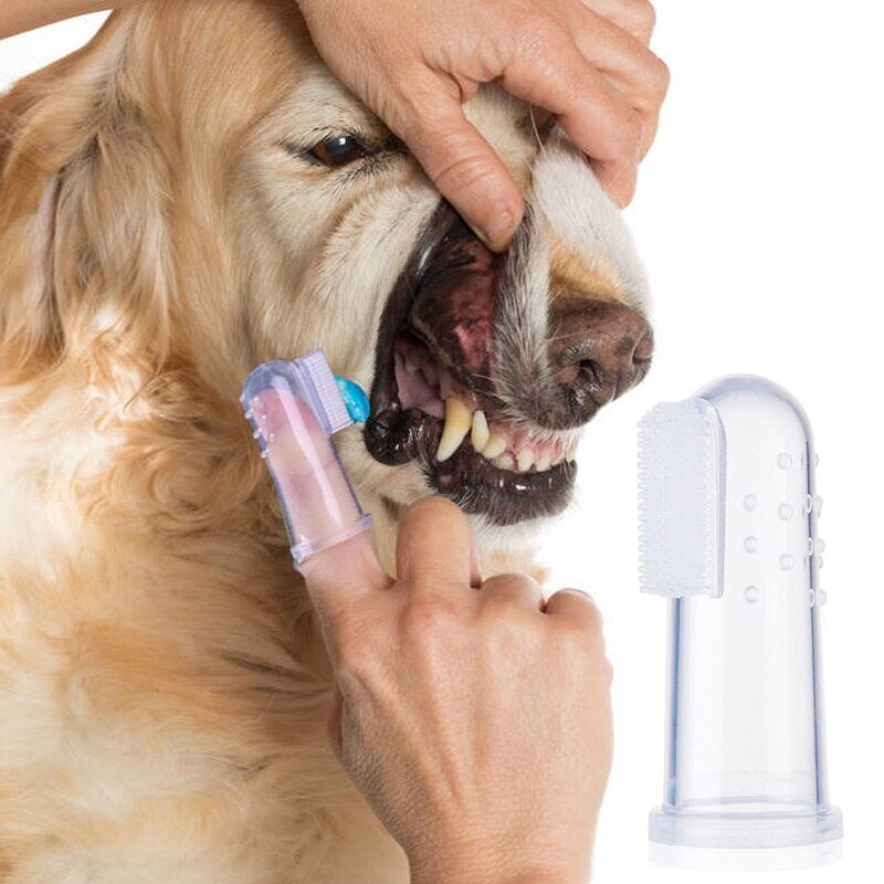 Teeth Care Toothbrush