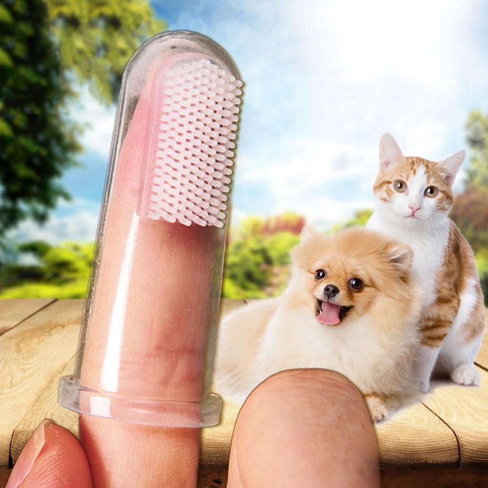Teeth Care Toothbrush