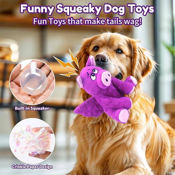 Crinkle & Squeak Dog Toys