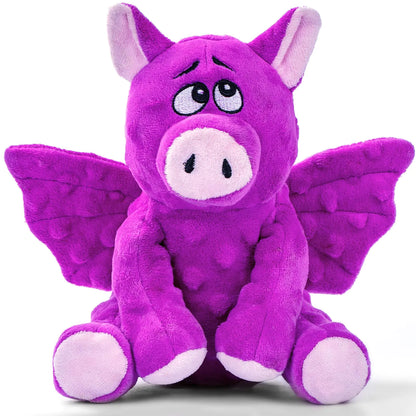 Crinkle &amp; Squeak Dog Toys