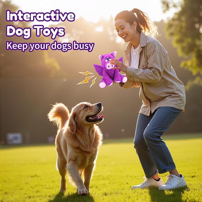 Crinkle &amp; Squeak Dog Toys