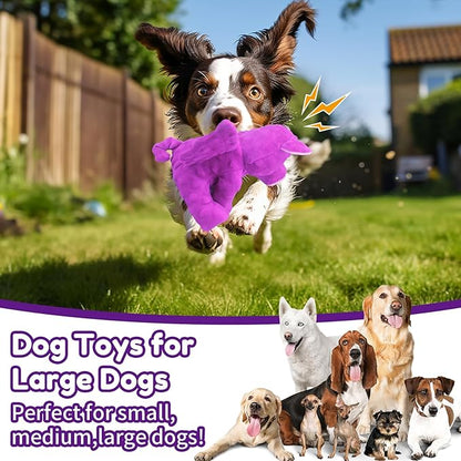 Crinkle &amp; Squeak Dog Toys