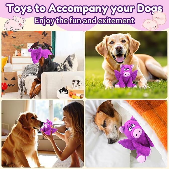 Crinkle &amp; Squeak Dog Toys