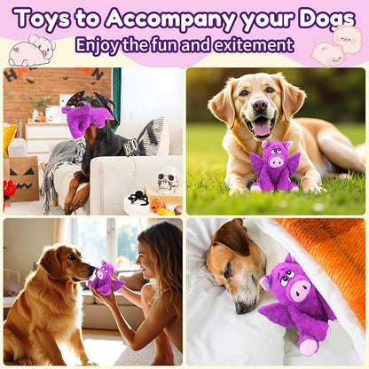 Crinkle &amp; Squeak Dog Toys