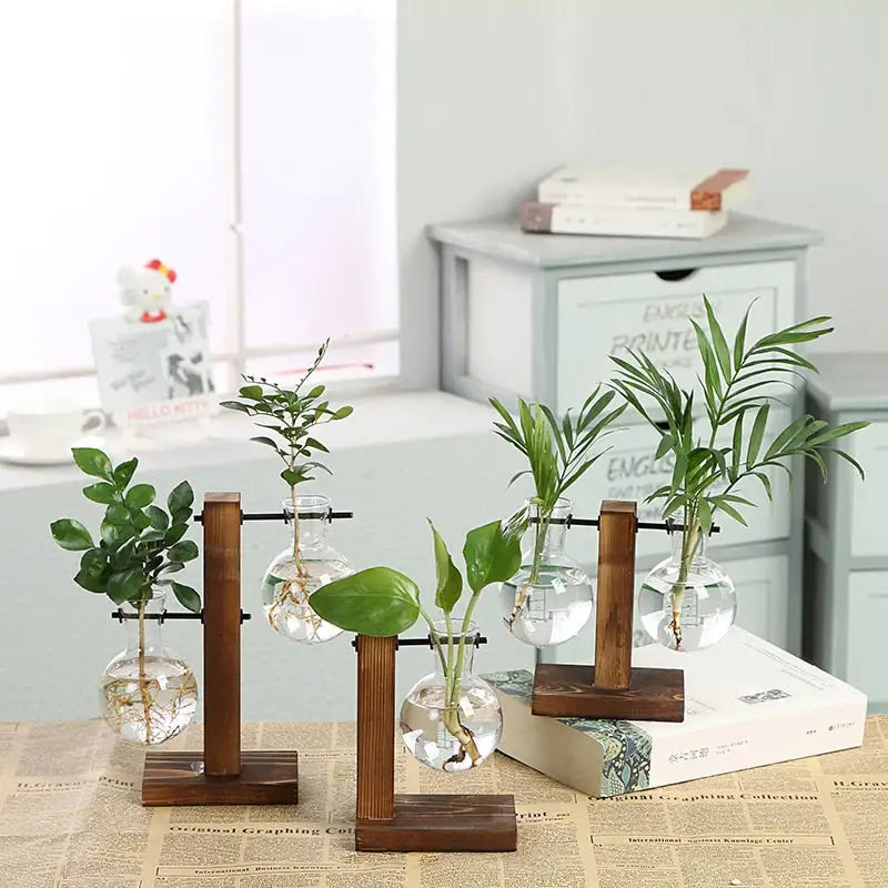 Transparent Plant Vases